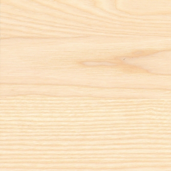 Preview: Esche europäisch Preview: Esche europäisch